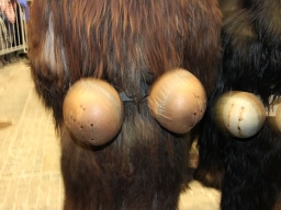 Adventmarkt Linz Hauptplatz