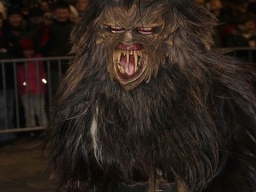 Adventmarkt Linz Hauptplatz