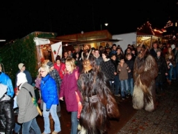 Adventmarkt Linz Volksgarten