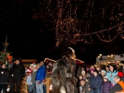 Adventmarkt Linz Volksgarten