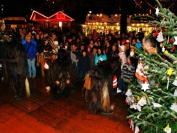 Adventmarkt Linz Volksgarten