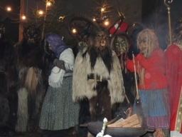 Baumkronenweg Kopfing