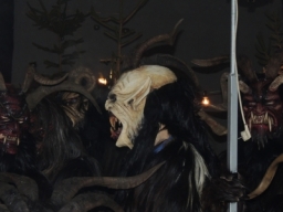 Baumkronenweg Kopfing