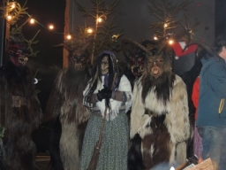 Baumkronenweg Kopfing