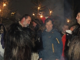 Baumkronenweg Kopfing