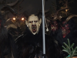 Baumkronenweg Kopfing