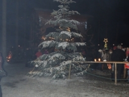 Baumkronenweg Kopfing