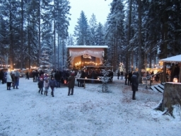 Baumkronenweg Kopfing