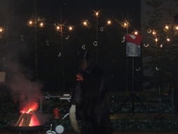 Baumkronenweg Kopfing