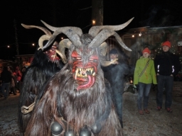 Baumkronenweg Kopfing