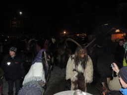 Baumkronenweg Kopfing