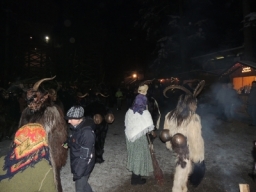 Baumkronenweg Kopfing