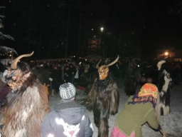 Baumkronenweg Kopfing