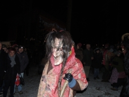 Baumkronenweg Kopfing