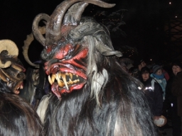 Baumkronenweg Kopfing