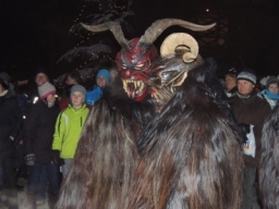 Baumkronenweg Kopfing