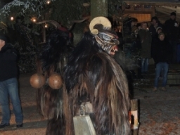 Baumkronenweg Kopfing