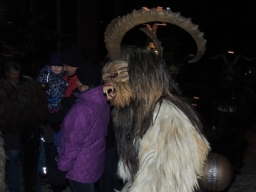 Baumkronenweg Kopfing