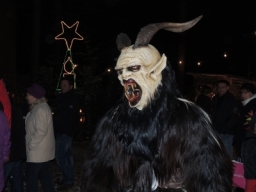 Baumkronenweg Kopfing