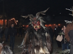 Baumkronenweg Kopfing