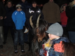 Baumkronenweg Kopfing