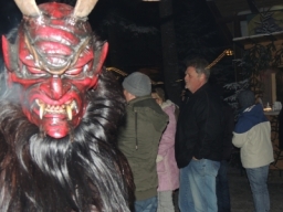 Baumkronenweg Kopfing