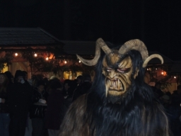 Baumkronenweg Kopfing