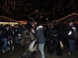 Adventmarkt Linz Volksgarten