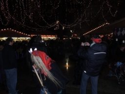 Adventmarkt Linz Volksgarten