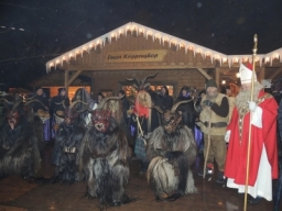 Adventmarkt Linz Volksgarten