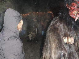 Baumkronenweg Kopfing