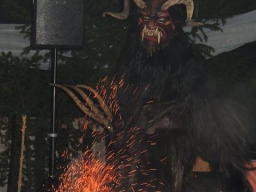 Baumkronenweg Kopfing