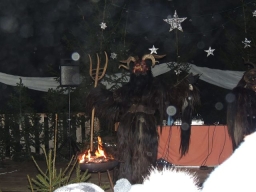 Baumkronenweg Kopfing