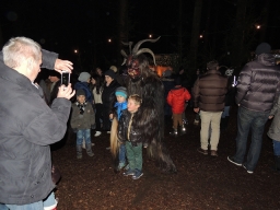 Baumkronenweg Kopfing