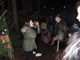 Baumkronenweg Kopfing