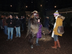 Baumkronenweg Kopfing