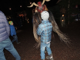 Baumkronenweg Kopfing