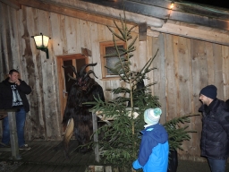 Baumkronenweg Kopfing