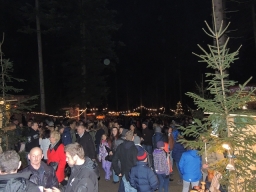 Baumkronenweg Kopfing