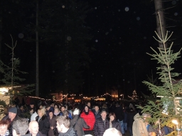 Baumkronenweg Kopfing