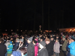 Baumkronenweg Kopfing