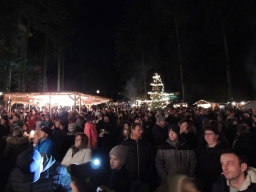 Baumkronenweg Kopfing