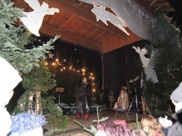 Baumkronenweg Kopfing