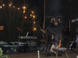 Baumkronenweg Kopfing