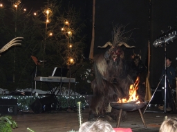 Baumkronenweg Kopfing