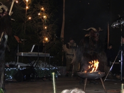 Baumkronenweg Kopfing