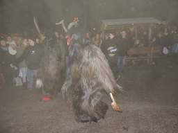 Baumkronenweg Kopfing