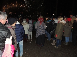 Baumkronenweg Kopfing