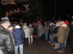 Baumkronenweg Kopfing