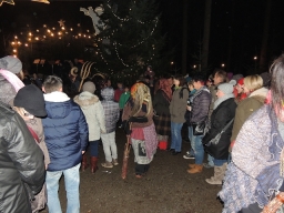 Baumkronenweg Kopfing